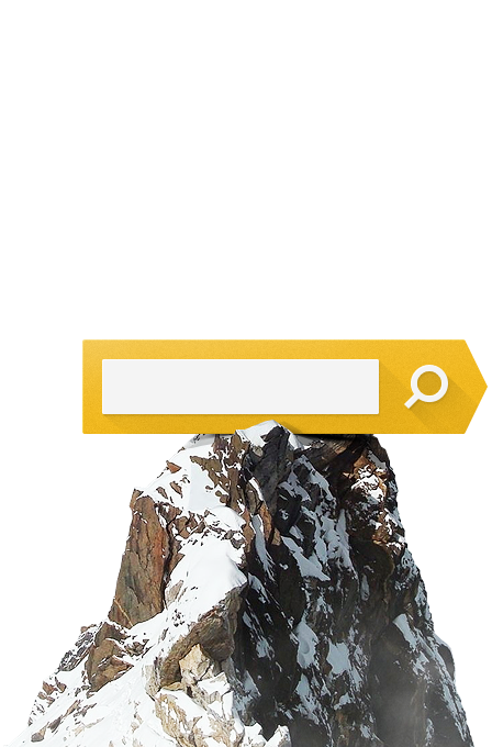 SEO продвижение сайтов Москва